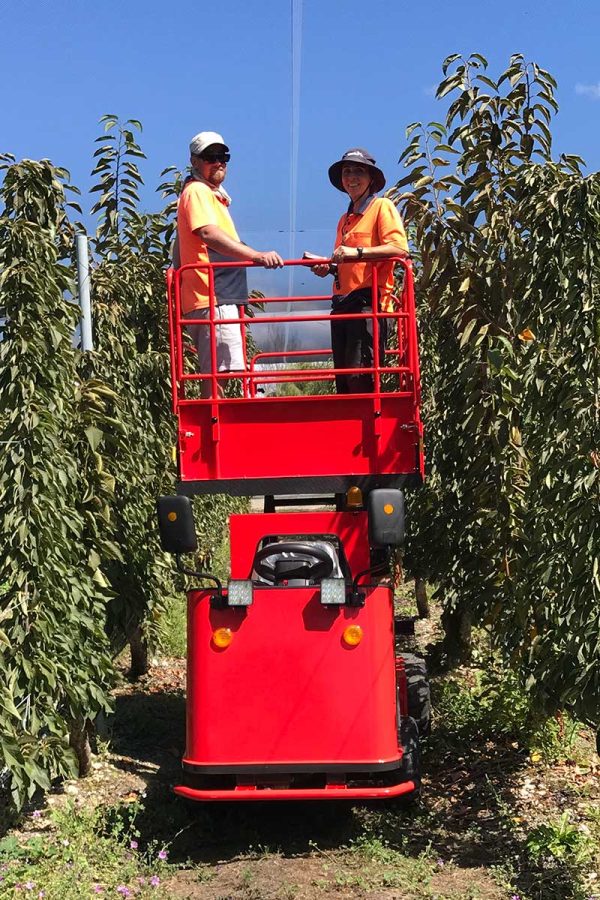 pickman electric picca work platform and tipper in a cherry orchard with 2 workers on the platform